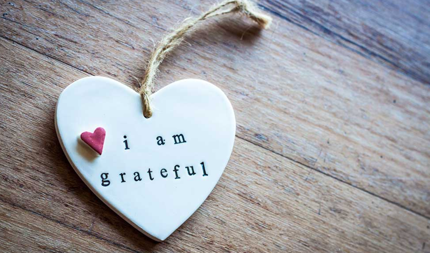 Gratitude (from a perspective you've never heard before)